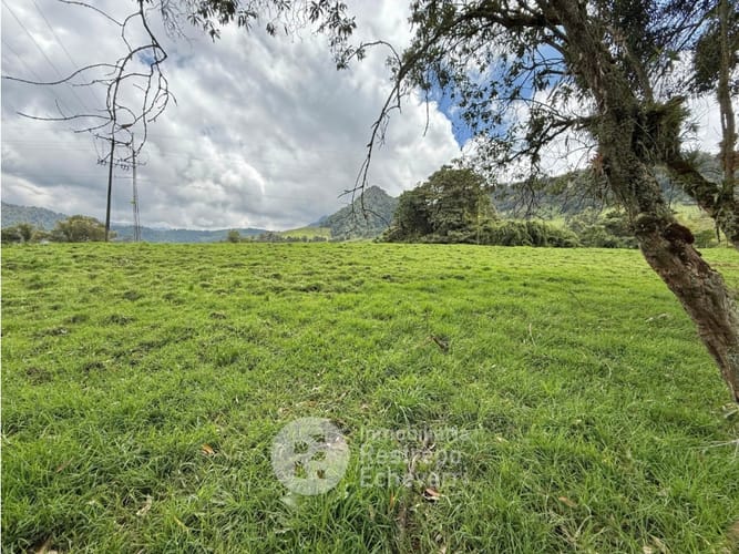 Lote en venta en Vereda Gallinazo, Manizales, 3400 m² · foto 13 de 13