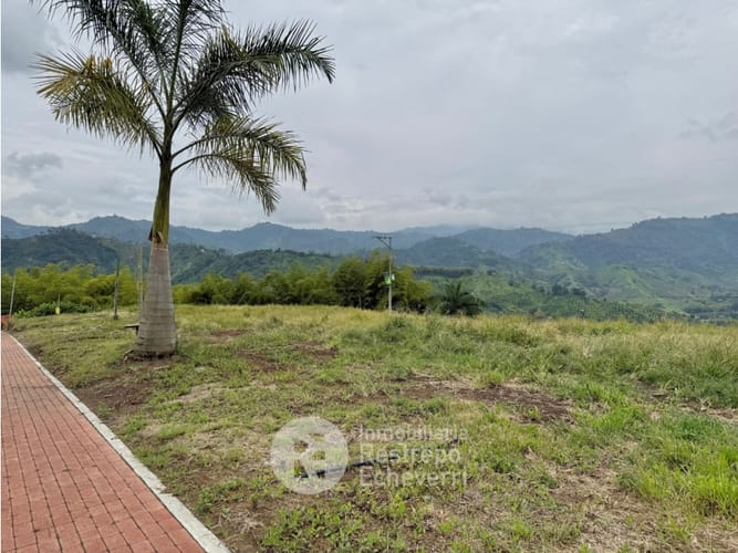 Lote en venta en La Trinidad, Manizales, 1731 m² · foto 2 de 14