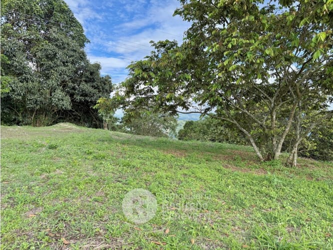 Lote en venta en La Cabaña, Manizales, 768 m² · foto 4 de 4