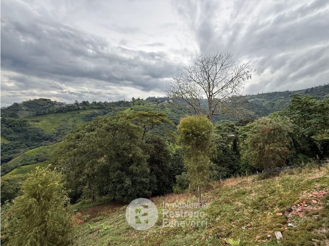 Finca en arriendo en El Arenillo, Manizales, 200 m² · foto 24 de 24