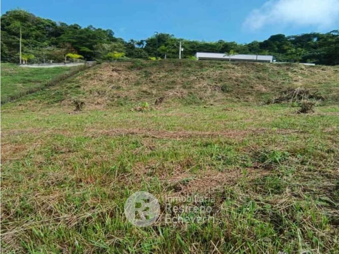 Lote en venta en El Rosario, Manizales, 2665 m² · foto 3 de 14