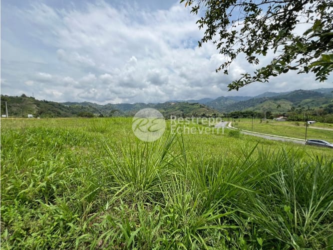 Lote en venta en El Rosario, Manizales · foto 2 de 8