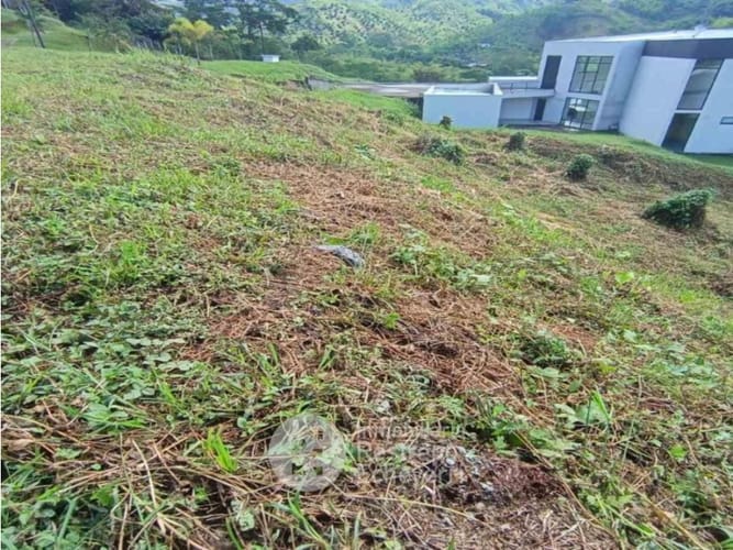 Lote en venta en El Rosario, Manizales, 2665 m² · foto 4 de 14