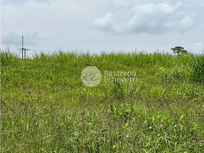 Lote en venta en El Rosario, Manizales · foto 4 de 8