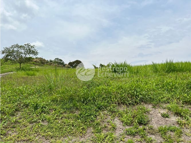Lote en venta en El Rosario, Manizales · foto 5 de 8