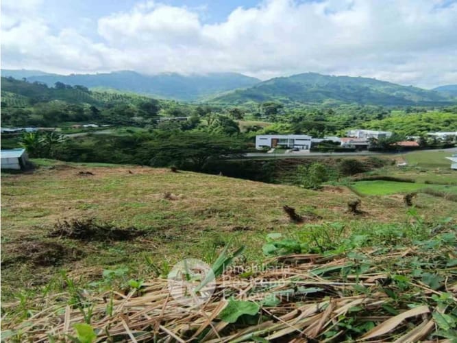 Lote en venta en El Rosario, Manizales, 2665 m² · foto 8 de 14