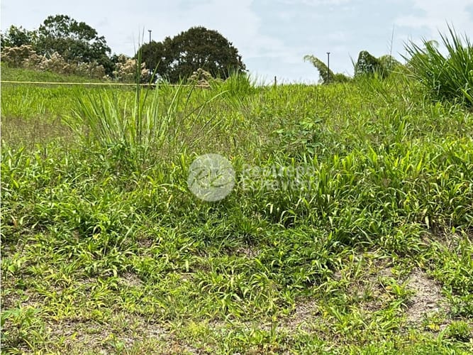 Lote en venta en El Rosario, Manizales · foto 7 de 8