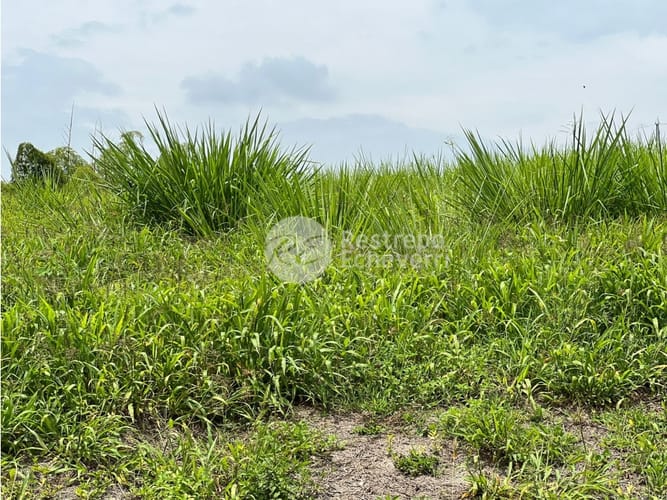 Lote en venta en El Rosario, Manizales · foto 8 de 8