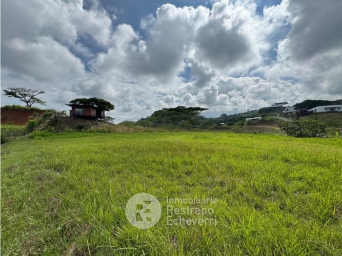 Lote en venta en Sector Galeria Central, Pereira, 2656 m² · foto 3 de 3
