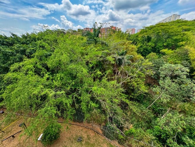 Apartamento de 2 alcobas en venta en Bellavista, Cali, 110 m² · foto 23 de 24