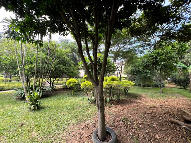 Lote en venta en Cañaverales, Cali, 4725 m² · foto 11 de 17
