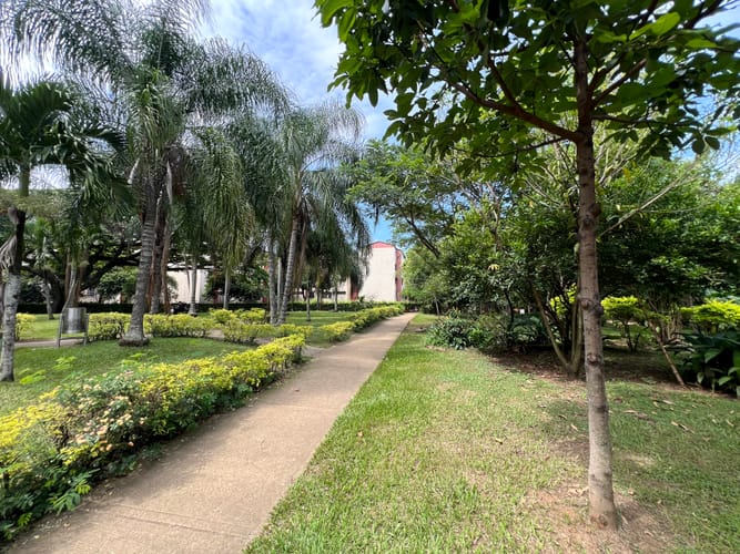 Lote en venta en Cañaverales, Cali, 4725 m² · foto 12 de 17