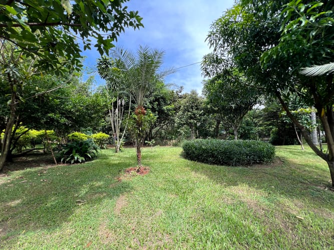 Lote en venta en Cañaverales, Cali, 4725 m² · foto 13 de 17