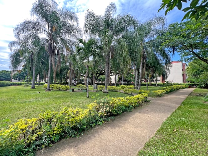 Lote en venta en Cañaverales, Cali, 4725 m² · foto 14 de 17