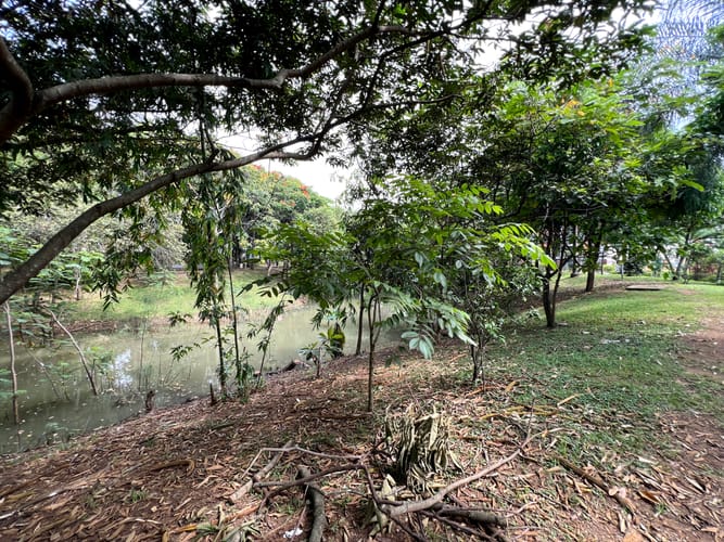 Lote en venta en Cañaverales, Cali, 4725 m² · foto 15 de 17
