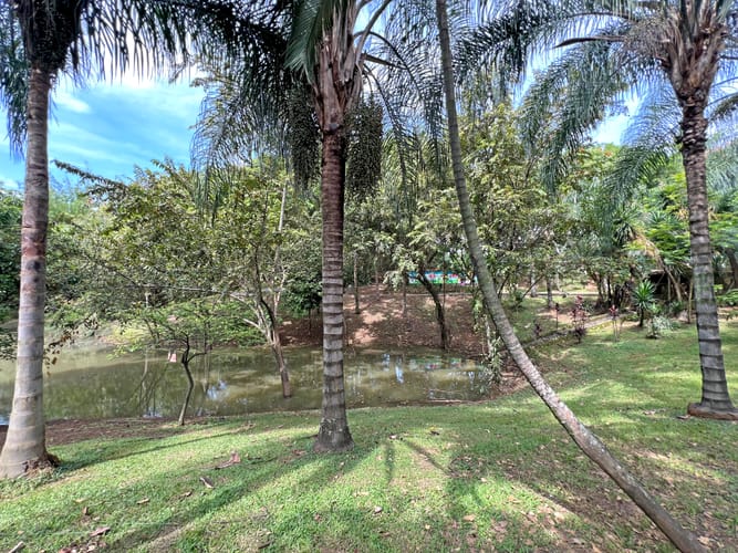 Lote en venta en Cañaverales, Cali, 4725 m² · foto 16 de 17