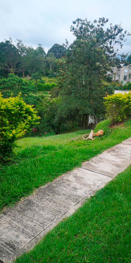 Lote en venta en Porerito, Jamundí · foto 12 de 22