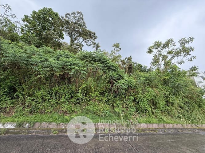 Lote en venta en La Francia, Manizales, 1900 m² · foto 2 de 5
