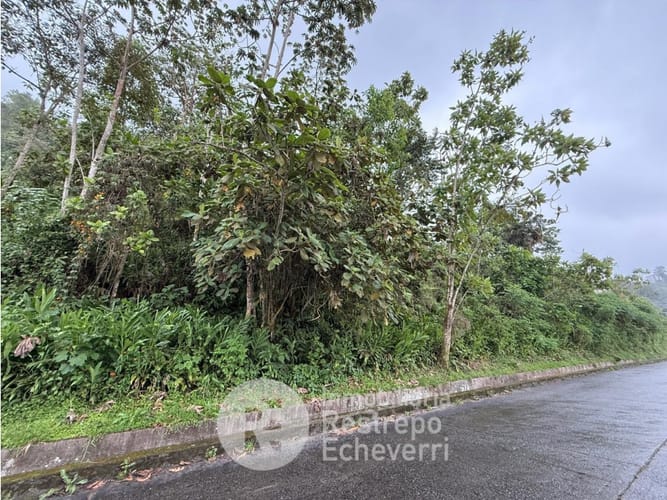 Lote en venta en La Francia, Manizales, 1900 m² · foto 3 de 5