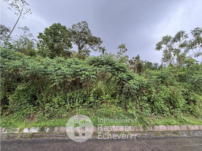 Lote en venta en La Francia, Manizales, 1900 m² · foto 4 de 5
