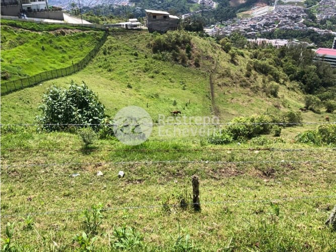 Lote en venta en Cerro De Oro, Manizales, 3450 m² · foto 3 de 4