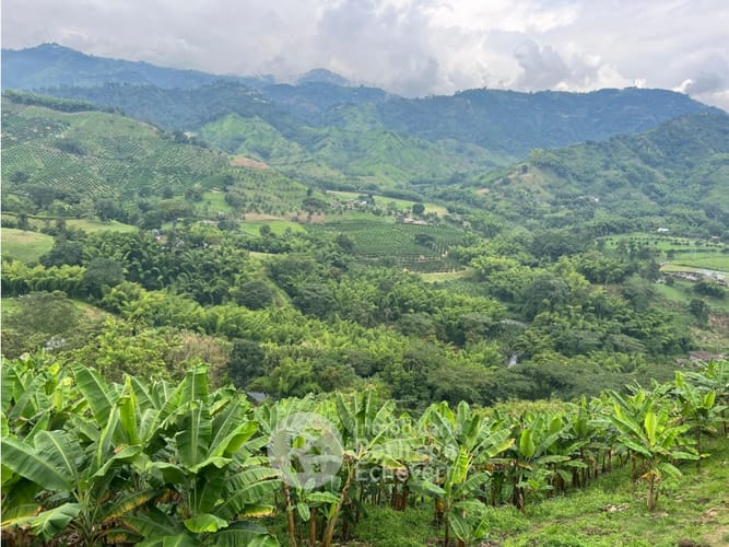 Finca en venta en La Trinidad, Manizales · foto 2 de 13