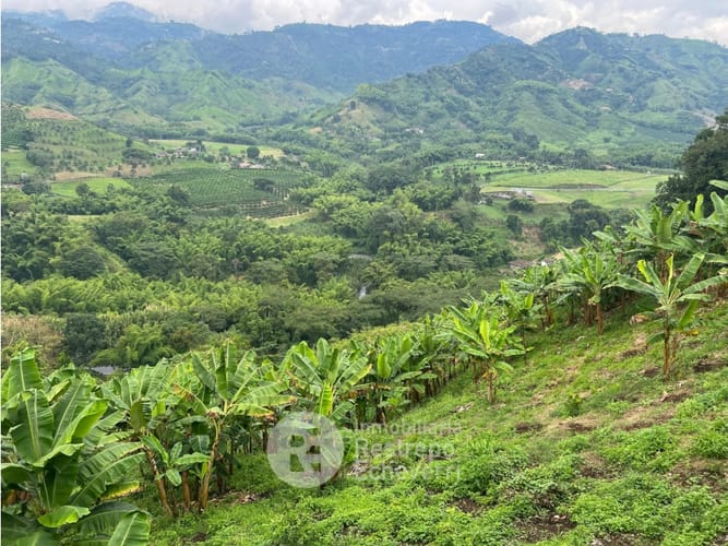 Finca en venta en La Trinidad, Manizales · foto 3 de 13