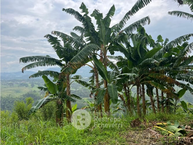 Finca en venta en La Trinidad, Manizales · foto 8 de 13