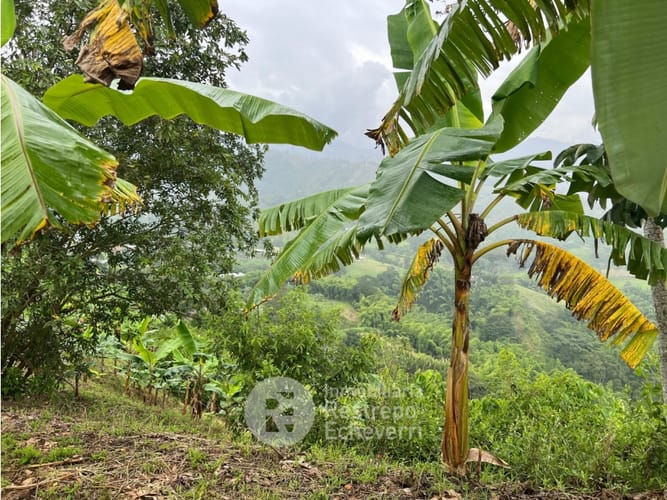 Finca en venta en La Trinidad, Manizales · foto 13 de 13