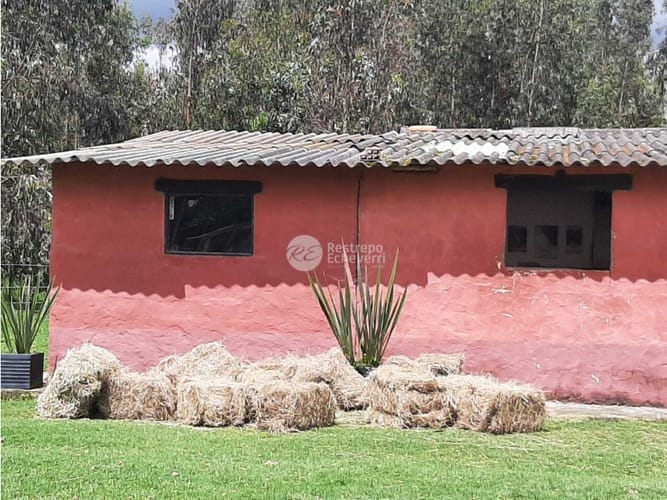 Casa de 3 alcobas en venta en La Francia, Chía, 350 m² · foto 6 de 24