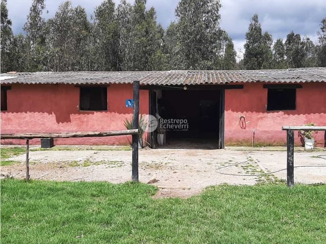 Casa de 3 alcobas en venta en La Francia, Chía, 350 m² · foto 7 de 24