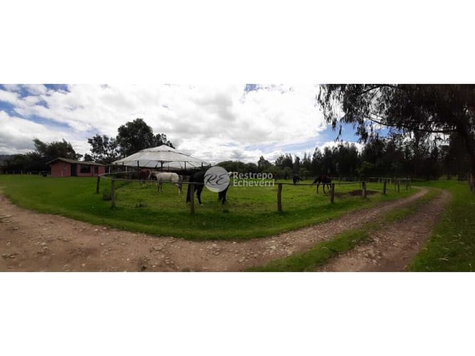 Casa de 3 alcobas en venta en La Francia, Chía, 350 m² · foto 9 de 24