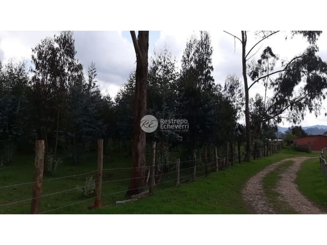 Casa de 3 alcobas en venta en La Francia, Chía, 350 m² · foto 12 de 24