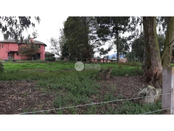 Casa de 3 alcobas en venta en La Francia, Chía, 350 m² · foto 14 de 24