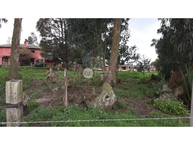 Casa de 3 alcobas en venta en La Francia, Chía, 350 m² · foto 15 de 24