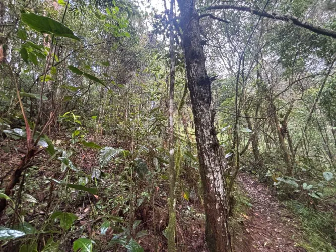 Lote en venta en Guayabito, Rionegro, 6871 m² · foto 2 de 24