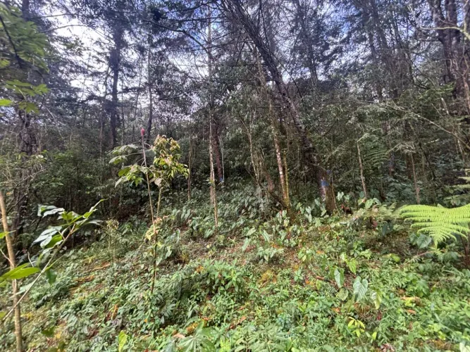 Lote en venta en Guayabito, Rionegro, 6871 m² · foto 3 de 24