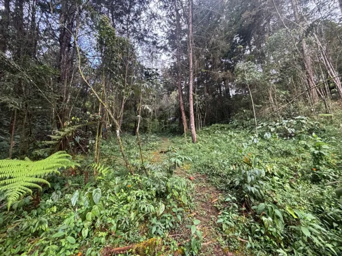 Lote en venta en Guayabito, Rionegro, 6871 m² · foto 4 de 24