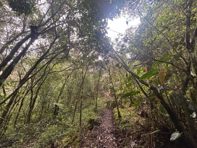 Lote en venta en Guayabito, Rionegro, 6871 m² · foto 6 de 24