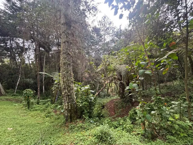Lote en venta en Guayabito, Rionegro, 6871 m² · foto 7 de 24