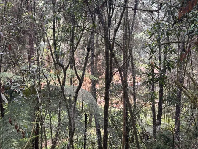 Lote en venta en Guayabito, Rionegro, 6871 m² · foto 8 de 24
