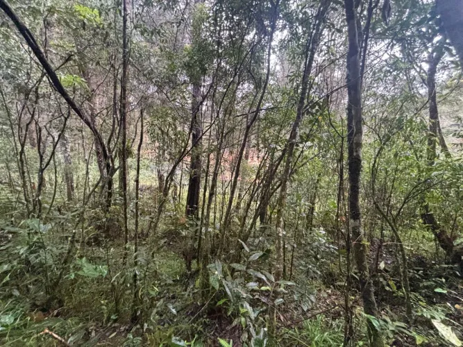 Lote en venta en Guayabito, Rionegro, 6871 m² · foto 9 de 24