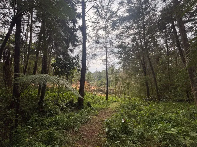 Lote en venta en Guayabito, Rionegro, 6871 m² · foto 10 de 24