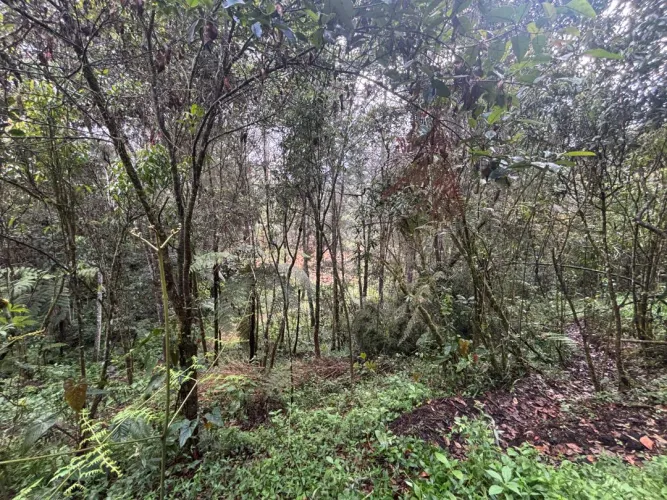 Lote en venta en Guayabito, Rionegro, 6871 m² · foto 11 de 24