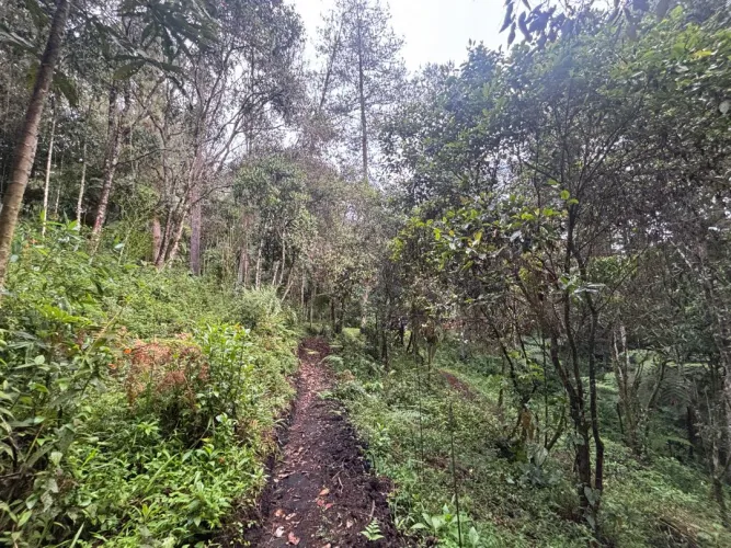 Lote en venta en Guayabito, Rionegro, 6871 m² · foto 13 de 24