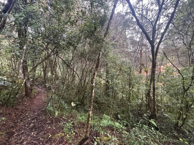 Lote en venta en Guayabito, Rionegro, 6871 m² · foto 14 de 24