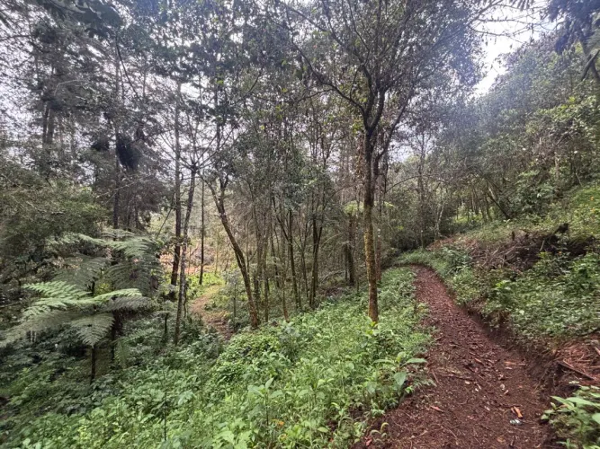 Lote en venta en Guayabito, Rionegro, 6871 m² · foto 16 de 24