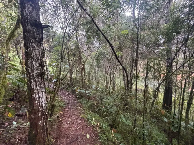 Lote en venta en Guayabito, Rionegro, 6871 m² · foto 18 de 24