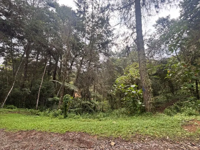 Lote en venta en Guayabito, Rionegro, 6871 m² · foto 19 de 24