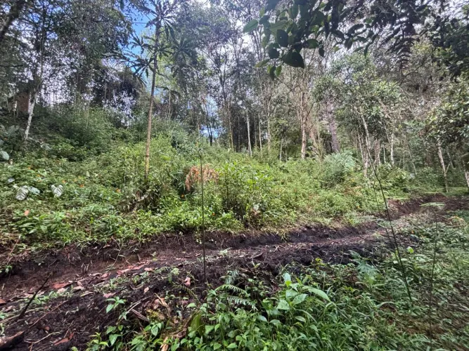 Lote en venta en Guayabito, Rionegro, 6871 m² · foto 20 de 24